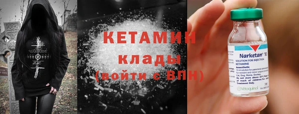 индика Дмитров
