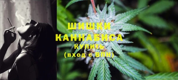 индика Дмитров