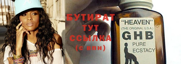индика Дмитров