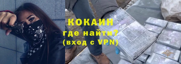 индика Дмитров
