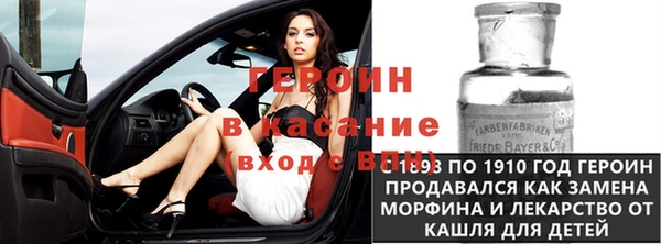индика Дмитров