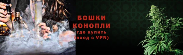 индика Дмитров