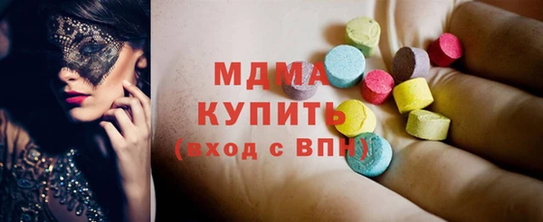 индика Дмитров