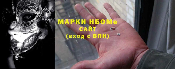 соль ск Дмитриев