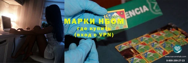 индика Дмитров