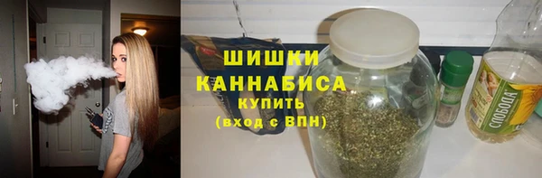 соль ск Дмитриев
