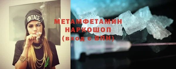 индика Дмитров