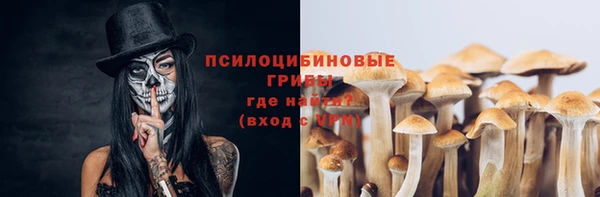 соль ск Дмитриев