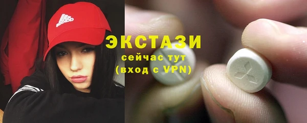 индика Дмитров