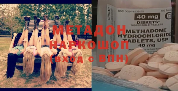 индика Дмитров