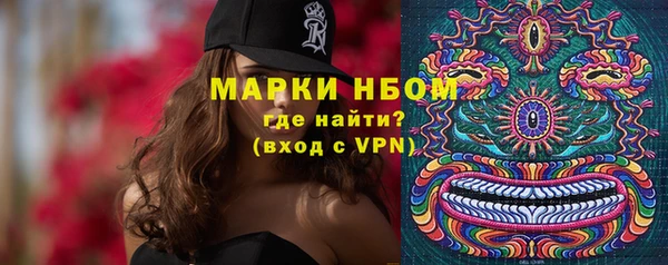 стаф Дмитровск