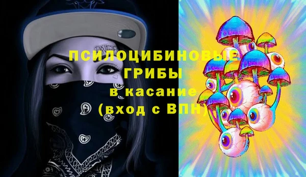 стаф Дмитровск