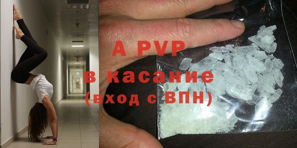 индика Дмитров