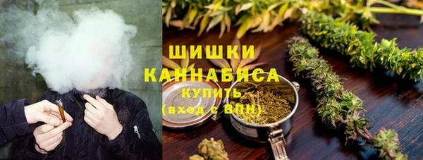 соль ск Дмитриев