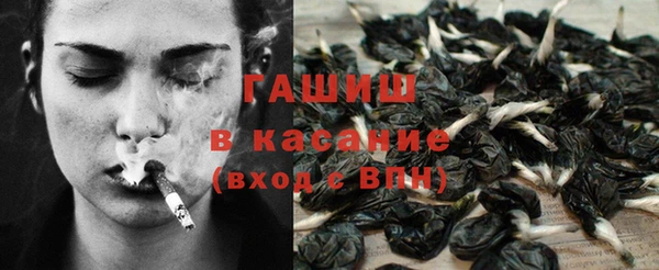 индика Дмитров