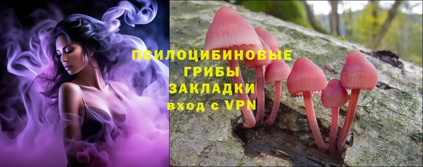 стаф Дмитровск