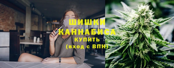 индика Дмитров