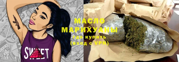 индика Дмитров