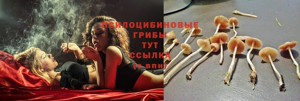 стаф Дмитровск