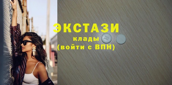 стаф Дмитровск