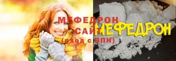 индика Дмитров